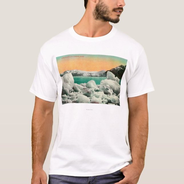 Camiseta Geleira e iceberg de Muir em Alaska #1State (Frente)