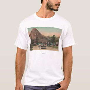 Camiseta Geleira, TA - vista de dois chalés & Mt. Rockwell