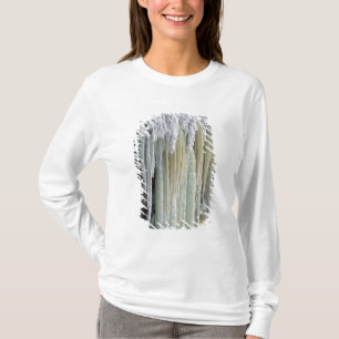 Camiseta Gelo Azul e Água Subterrânea; Tahquamenon