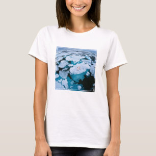 Camiseta Gelo e neve Urso Polar, Oceano Ártico, Svalbard