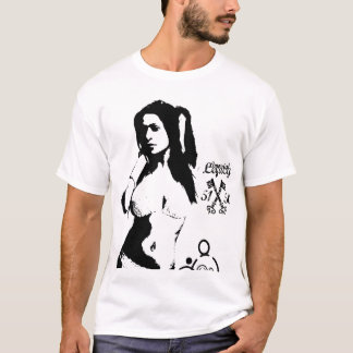 Camiseta GEM5, iltxt, chaves
