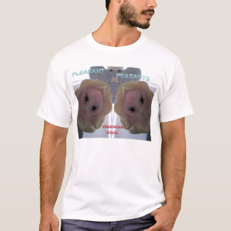CAMISETA GÊMEOS AGRADÁVEIS DOS CAMPONESES