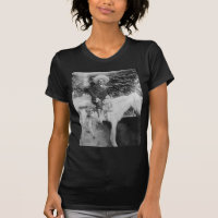 General revolucionário mexicano de Pancho Villa