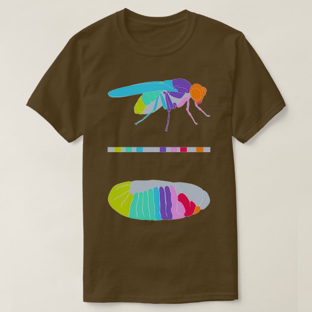 Camiseta Genes Drosophila Hox (Frente do Design)