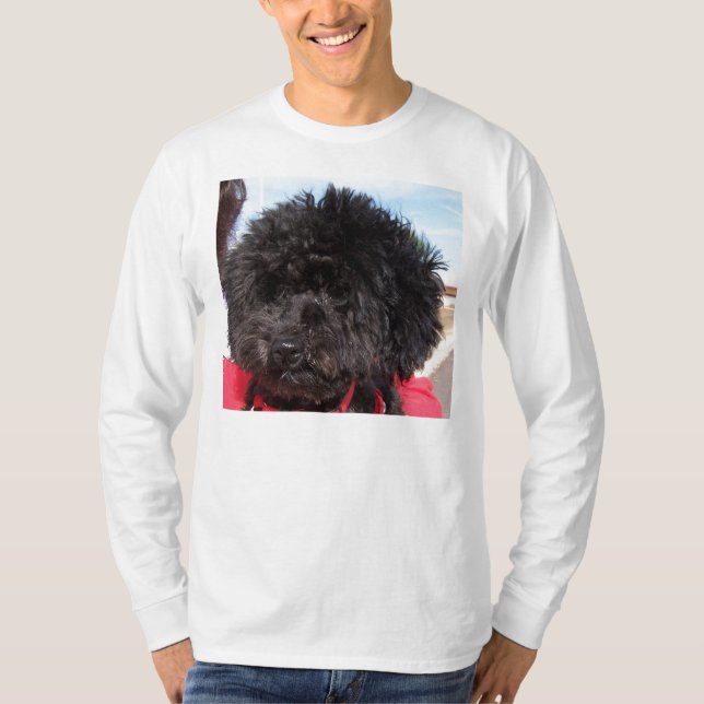 Camiseta Gengibre (Frente)