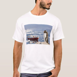 Camiseta Gentoo Penguin