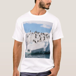 Camiseta Gentoo Penguin Antártica Iceberg Playtime