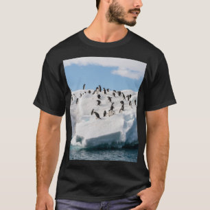 Camiseta Gentoo Penguin Antártica Iceberg Playtime