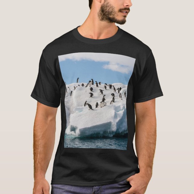 Camiseta Gentoo Penguin Antártica Iceberg Playtime (Frente)