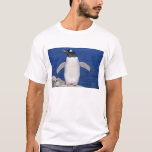 Camiseta Gentoo Penguin Pygoscelis papua) Porto