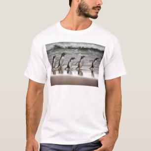 Camiseta Gentoos na praia