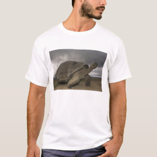 Camiseta Geocelone da Tortura Gigante das Galápagos