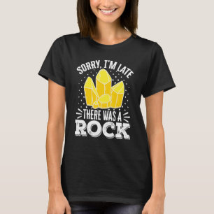 Camiseta Geólogo Coleta de Minerais Rochas Fósseis Desculpe