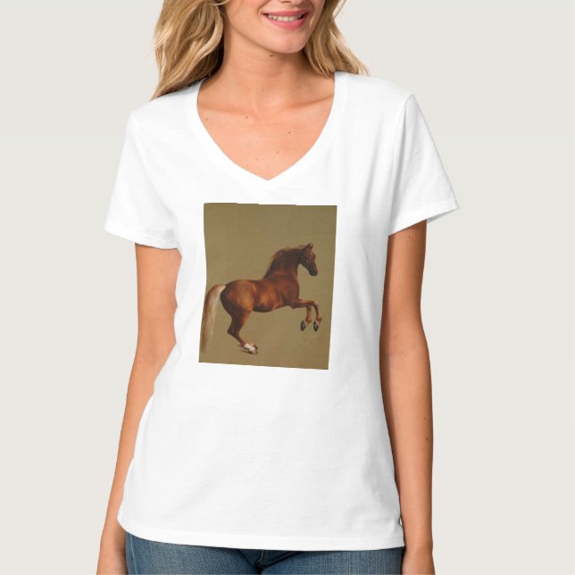 Camiseta George Stubbs - Casaco (Frente)