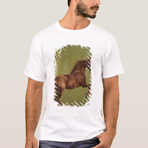 Camiseta George Stubbs  Casaco de assobio, 1762