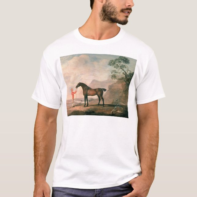 Camiseta George Stubbs | Scapeflood (Frente)