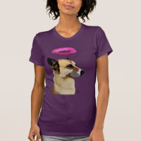 German shepherd com Halo Rosa