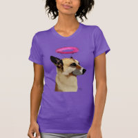 German shepherd com Halo Rosa