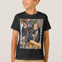 German shepherd por Shirley Taylor