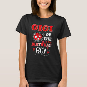 Camiseta Gigi Do Aniversário Da Família Ladybug B