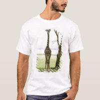 Girafa em Kenya, África