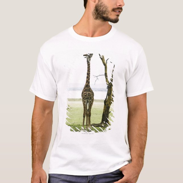 Camiseta Girafa em Kenya, África (Frente)
