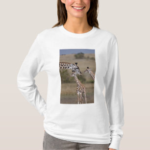 Camiseta Girafa Masai (Giraffe Tippelskirchi)