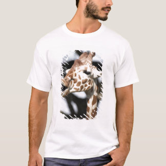 Camiseta Girafa reticulada de cara engraçada, São Francisco