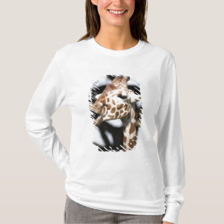 Camiseta Girafa reticulada de cara engraçada, São Francisco