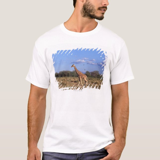 Camiseta Girafa Reticulated 2 (Frente)