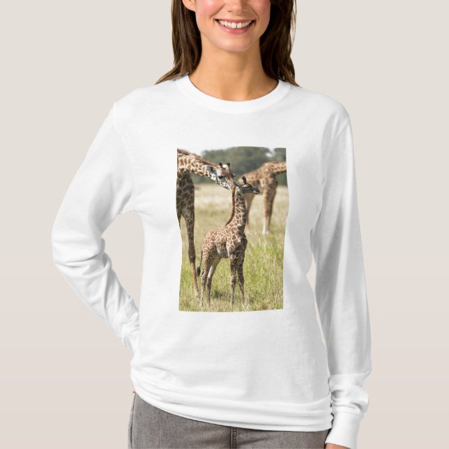 Camiseta girafas Masai, Giraffa camelopardalis 2 (Frente)