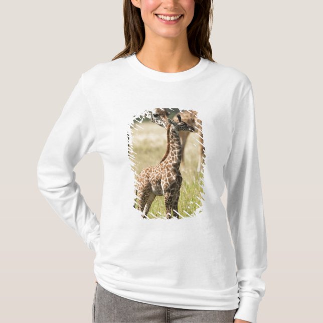 Camiseta girafas Masai, Giraffa camelopardalis 2 (Frente)