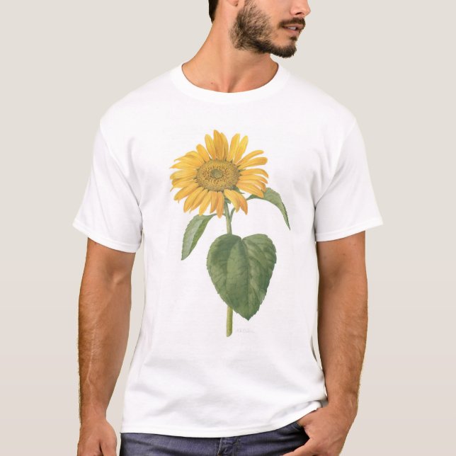 Camiseta girassol no branco (Frente)