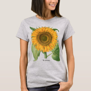 Camiseta Girassol Vintage por Basilius Besler