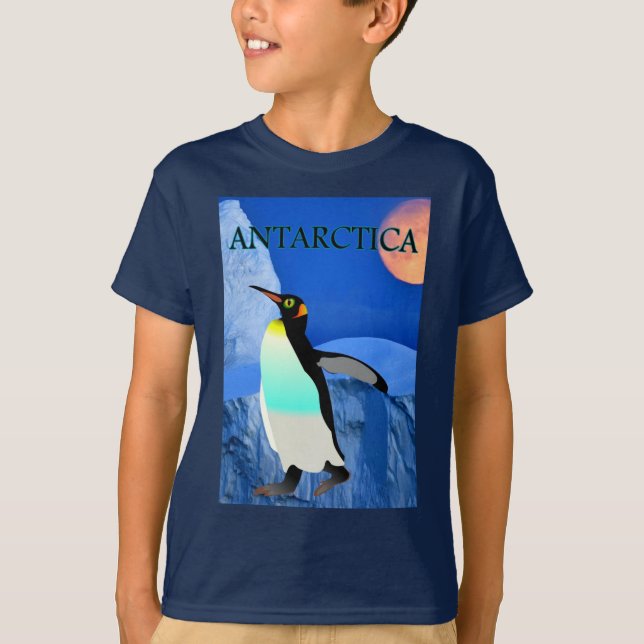 Camiseta Glaciar Antártico Gelado Gelado Pinguim (Frente)