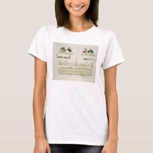 Camiseta Gladiadores e um plano do circo de Caracalla,