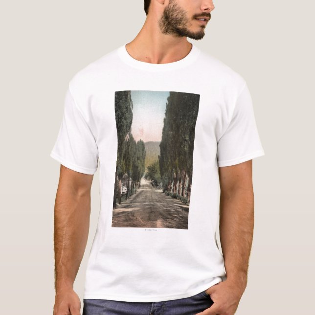 Camiseta Glenwood Springs, Colorado (Frente)
