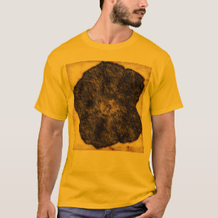 Camiseta Glória da Manhã - Desenho da Velha Hora