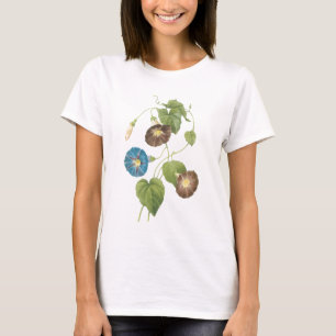 Camiseta glória matinal (Spomaea quamoclit) por Redouté