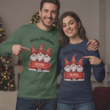 Gnomo Feliz Natal em Caminhão