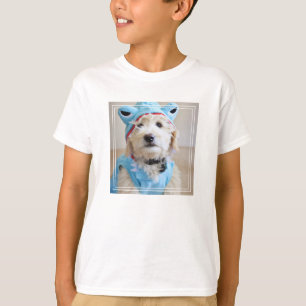 Camiseta Goldendoododle Em Figurino De Tubarão