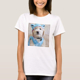 Camiseta Goldendoododle Em Figurino De Tubarão
