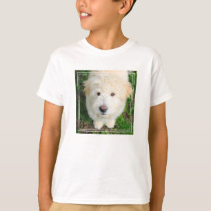 Camiseta Goldendoodododle Puppy Olhando Para A Câmera