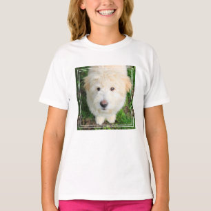 Camiseta Goldendoodododle Puppy Olhando Para A Câmera