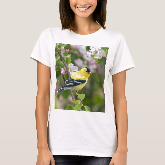 Camiseta Goldfinch americano com as flores da maçã do (Frente)