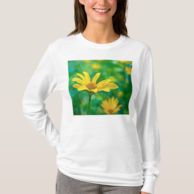 Camiseta Goldie (Frente)