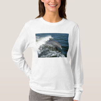 Camiseta Golfinho de Bottlenose