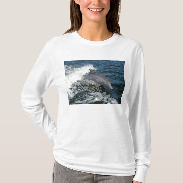 Camiseta Golfinho de Bottlenose (Frente)