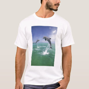Camiseta Golfinho-nariz-de-garrafa Tursiops truncatus