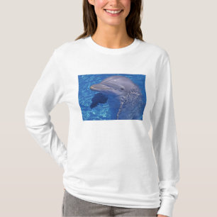 Camiseta Golfinho-nariz-de-garrafa, Tursiops Truncatus